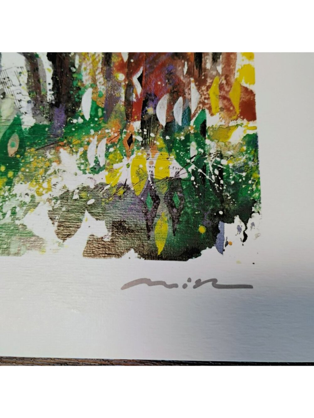 Misha Lenn "Commonwealth In Bloom" Seriolithograph Print with COA Signed 2002 - Picture 6 of 9